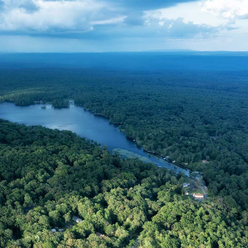 Projet Crédits Carbone Amazone, Brésil