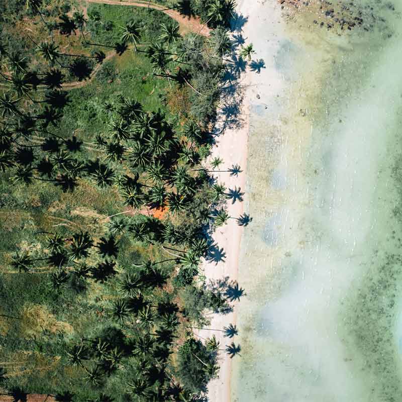 Projet Crédits Carbone Guinée Bissau, Afrique