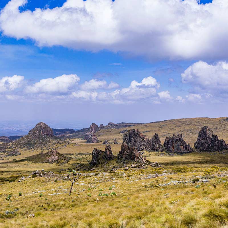 Projet Crédits Carbone Keyna, Afrique