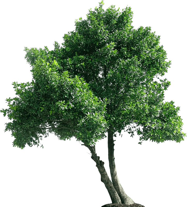 Inscription investisseurs Earth Exchange