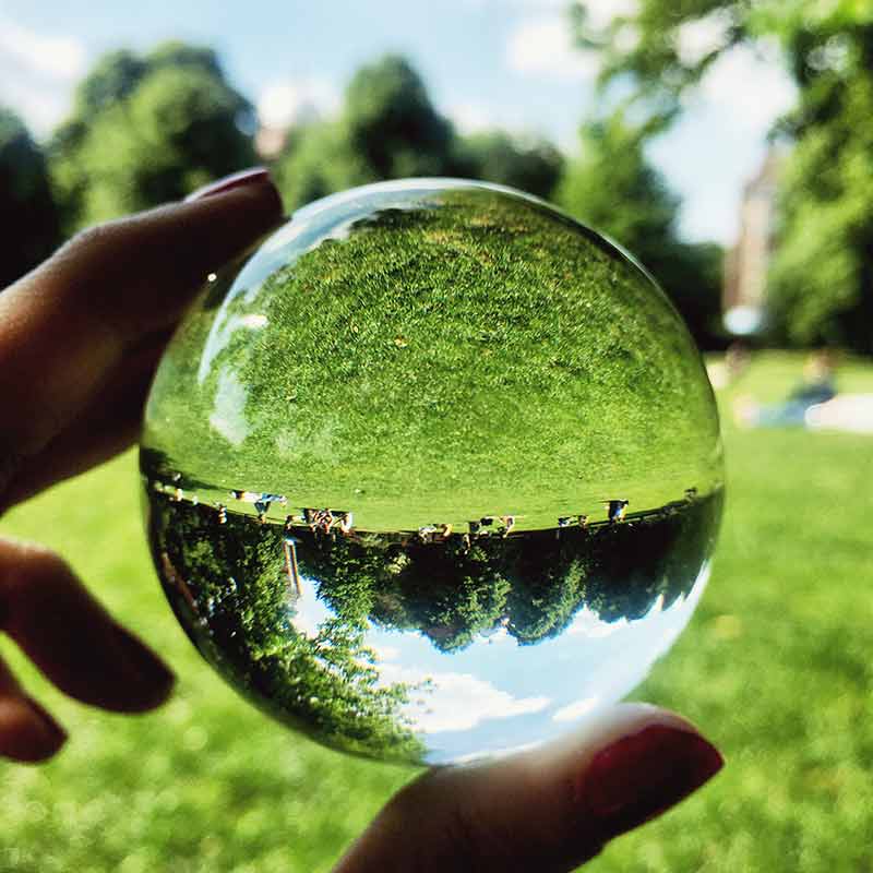 Repenser les crédits carbone en toute transparence